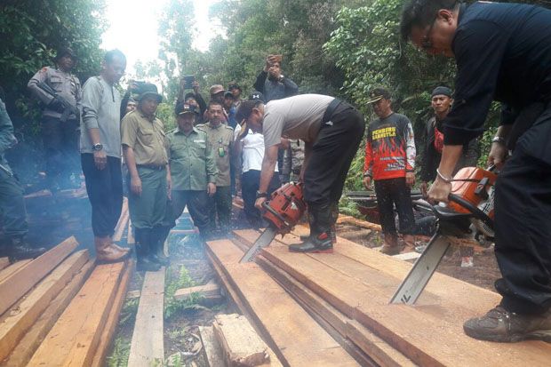 Pembalakan Liar di Cagar...