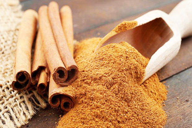 Cinnamon Extract Can...