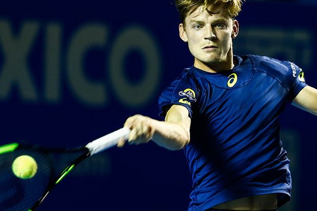 Goffin Berada dalam...