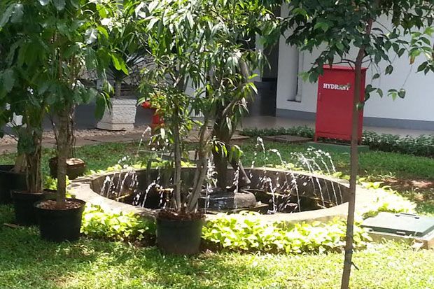 Jelang Kedatangan Raja...