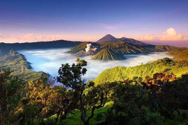 135 Homestay Baru Bromo-Tengger-Semeru...