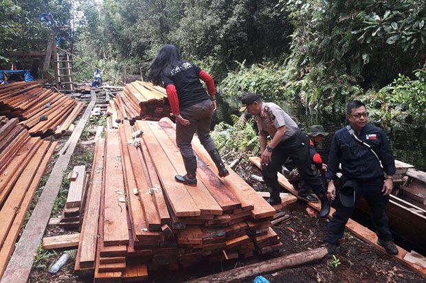 Perambah Cagar Biosfer...