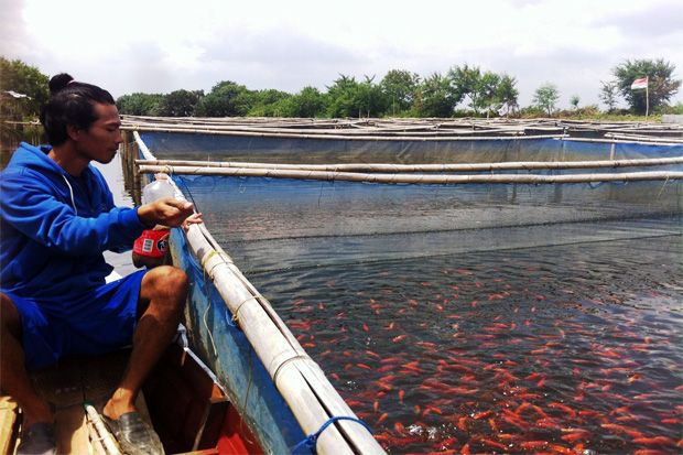 Manfaatkan Sungai Mati...