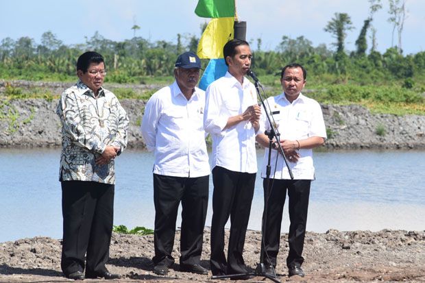 Udang Vaname Pelecut...