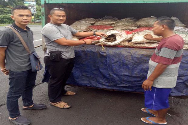 1,8 Ton Kerang Ilegal...
