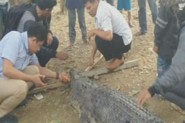 Setelah Piton Raksasa,...