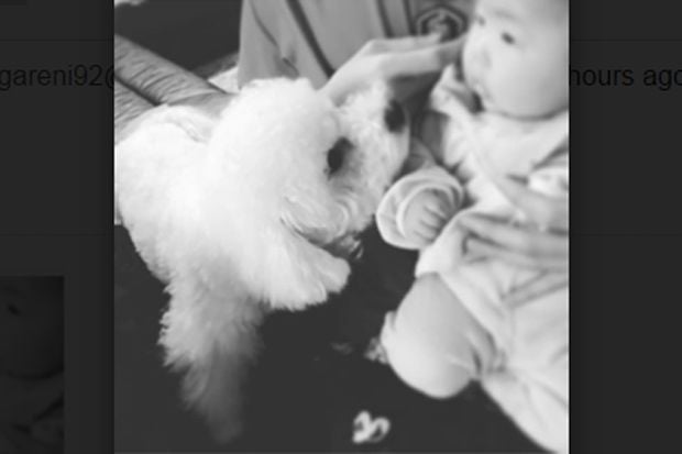 Pasang Foto Bayi, Sehun...