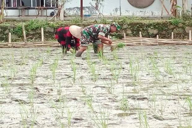 Tentara Bantu Petani...
