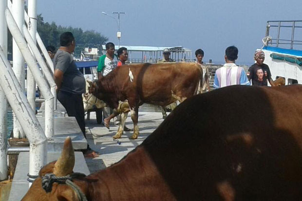 Panwaslu Kepulauan Seribu:...