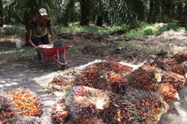 Persaingan Harga Dinilai...