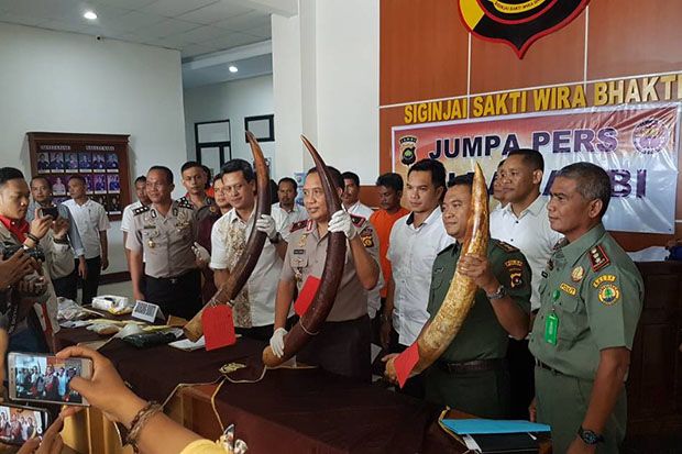 BKSDA dan Polda Jambi...