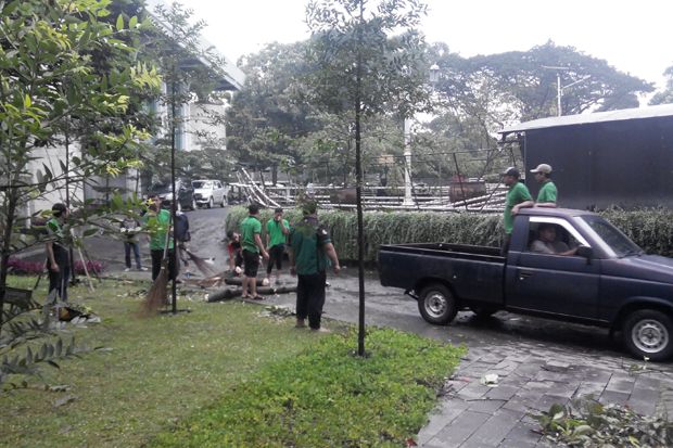 Sejumlah Pohon di Gedung...