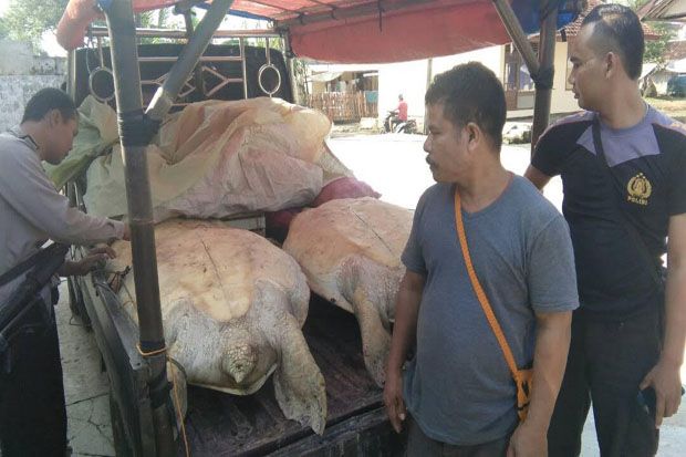 Polisi Gagalkan Penyelundupan...