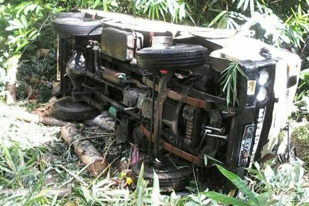 Truk Muatan Kayu Sengon...