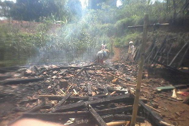 Ditinggal ke Kebun,...
