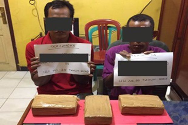 Bawa Ganja 3 Kg, Dua...