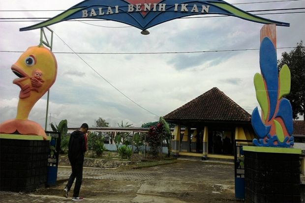 BBI Mijen Akan Jadi...