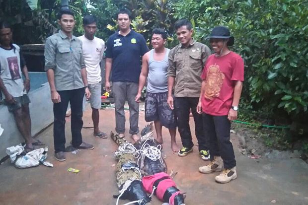 Cari Ikan, Ujang Malah...