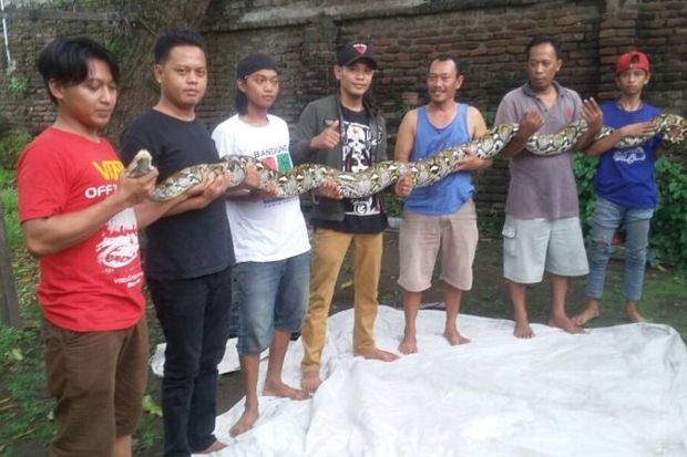 Hendak Memangsa Burung...