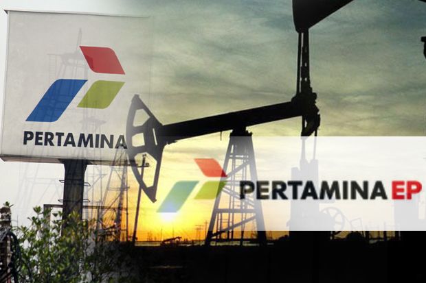 Survei Seismik, Pertamina...