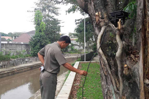 Camat Senen Sebut RTH...
