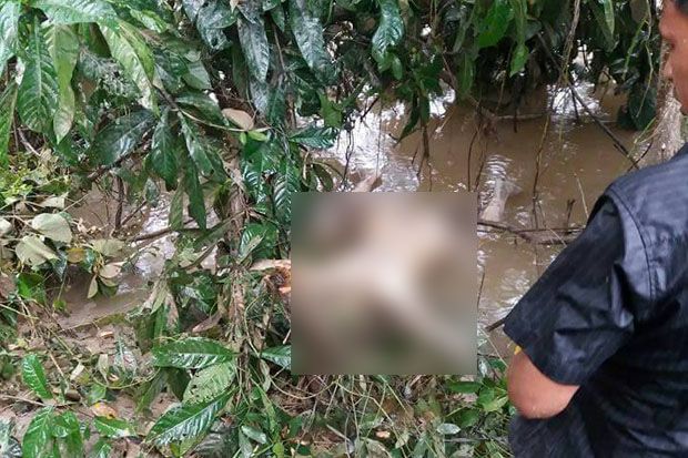 Mayat Wanita Tanpa Busana...