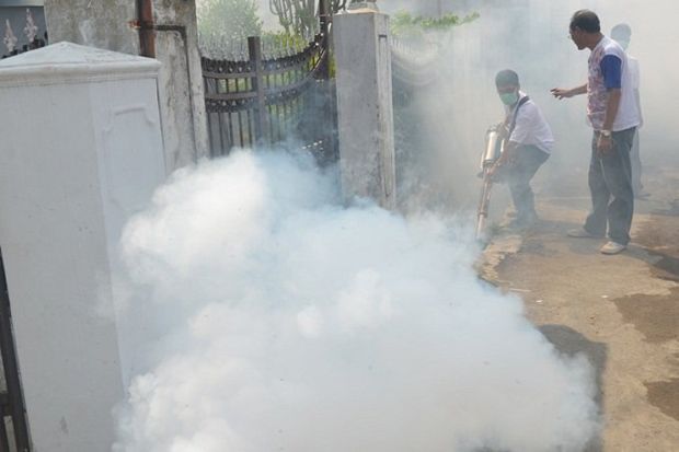 Fogging Gratis Perindo...