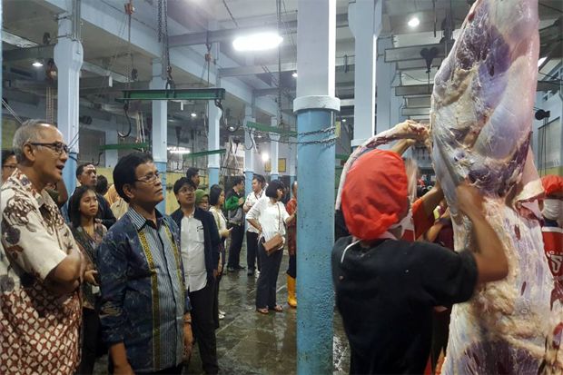 Cek Stok Daging Sapi...