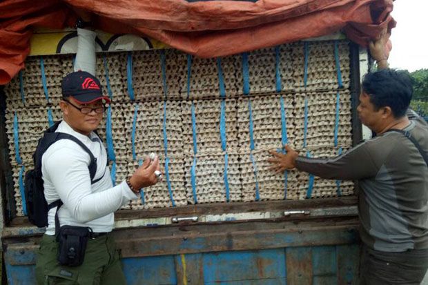 Polisi Sita Ribuan Kilogram...