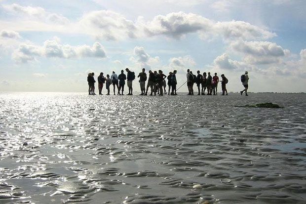 Wow! Mendaki di Laut...