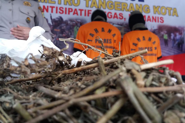 Polisi Ciduk 2 Pengedar...