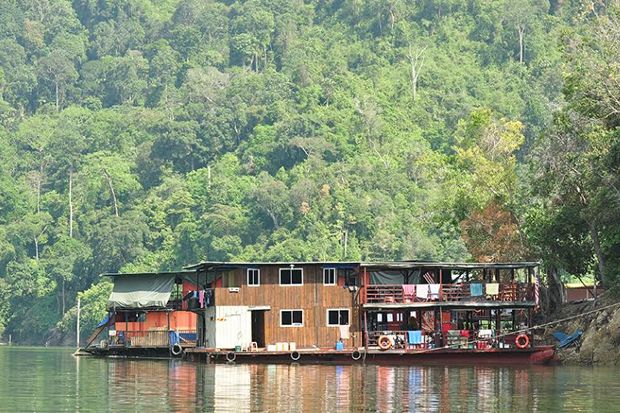 Jelajahi Hutan Royal...