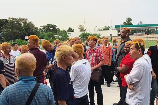 Rambut Wajib Kuning,...