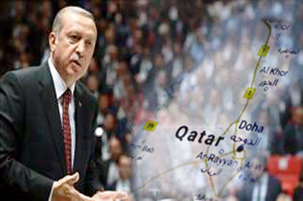 Turkey Support Behind...