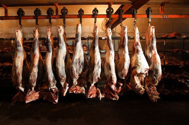 Pasar Murah Daging Sapi...