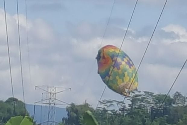 PLN Kembali Turunkan...