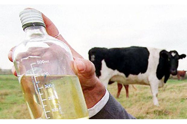 Wow! Konsumsi Urine...
