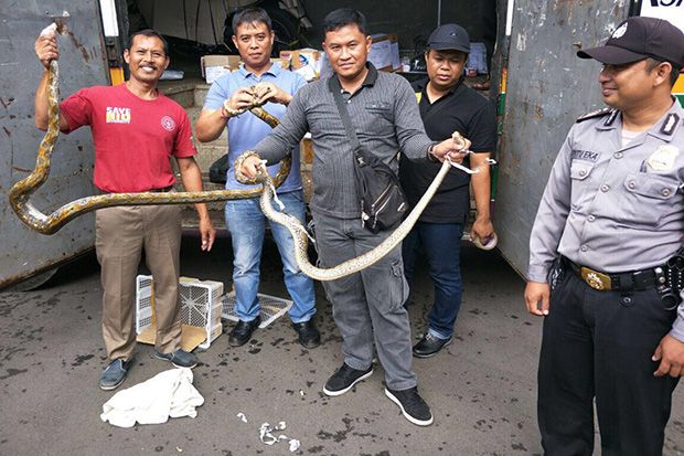 Polisi Gagalkan Penyelundupan...