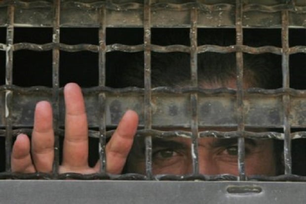 50 Bayi Palestina Lahir...