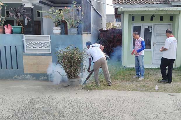 Antisipasi Demam Berdarah,...