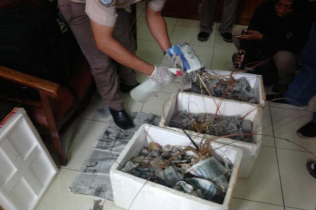 Polisi Soetta Gagalkan...