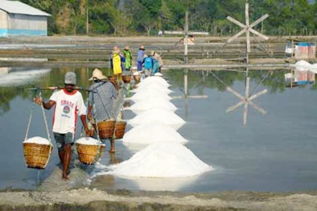 Salt Became Cartel Trifle?