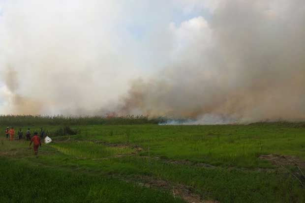Atasi Kebakaran Hutan...