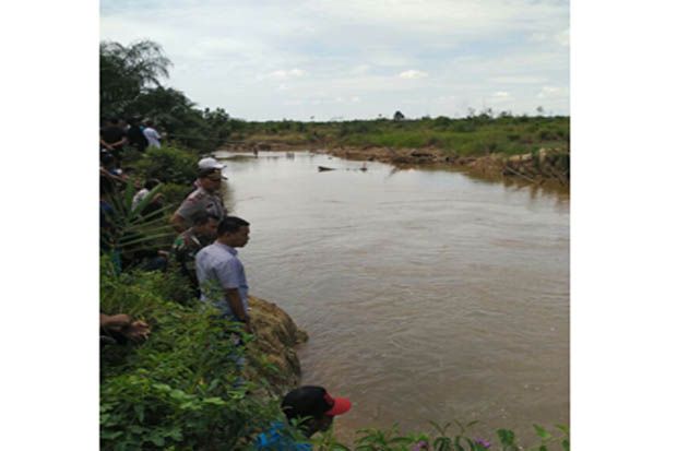 Buaya Muara Terkam Warga...