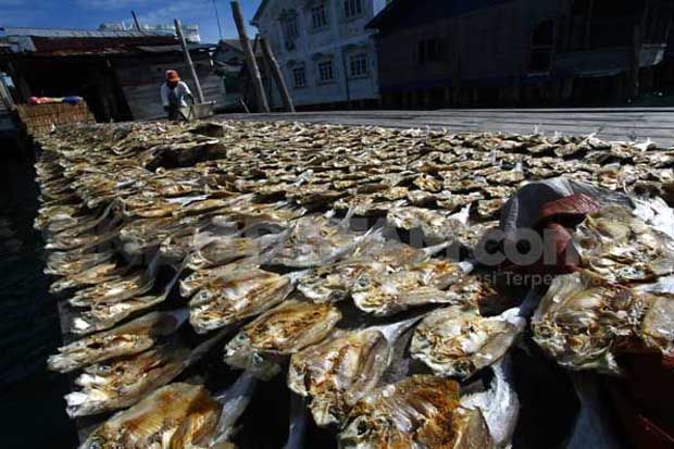 Harga Garam Mahal, Produksi...