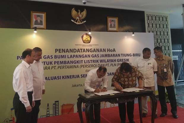 HoA Diteken, Proyek...