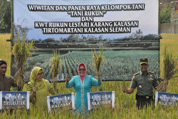 Lahan Pertanian Terus...