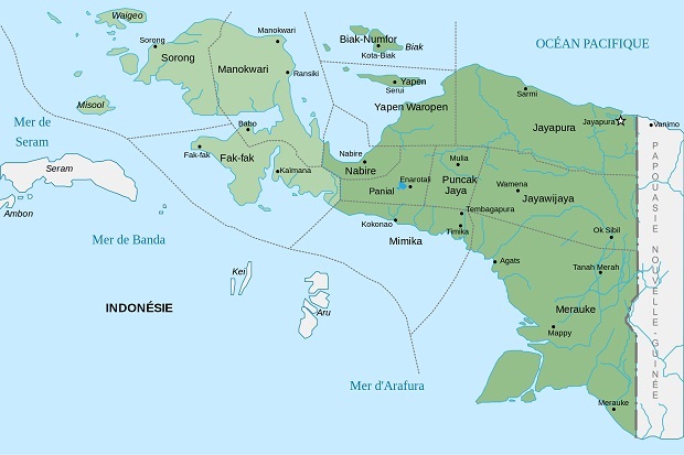 Di Forum PBB, Vanuatu...