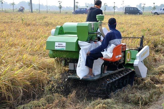 Swasembada Pangan lewat...
