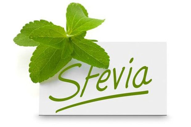 Daun Stevia Bisa Sembuhkan...